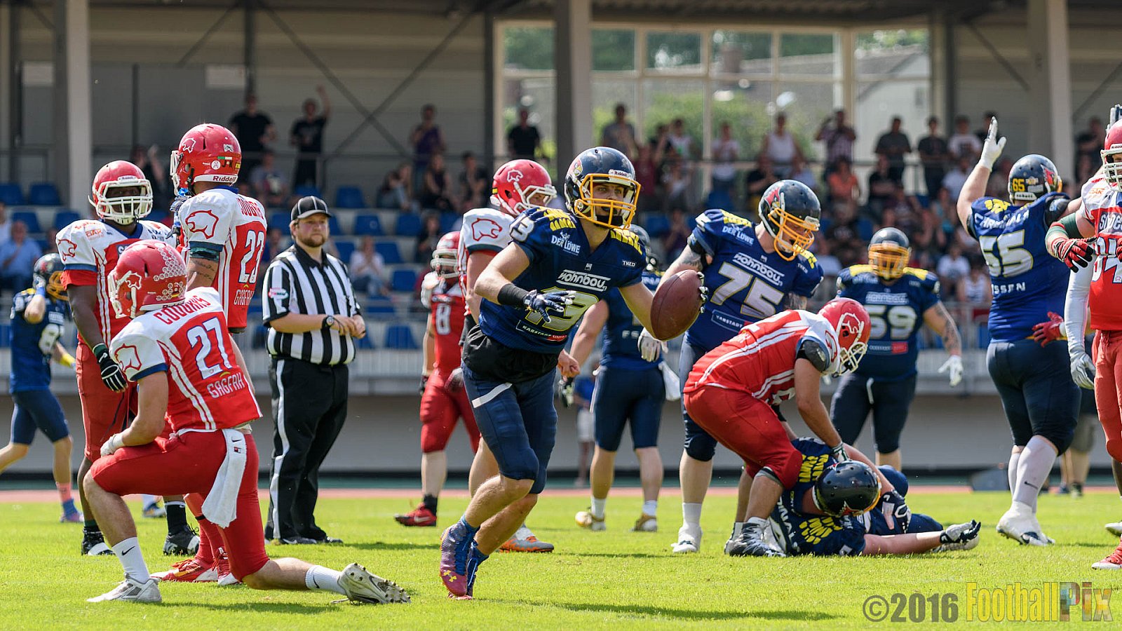Essen Assindia Cardinals vs. Lübeck Cougars - 05.06.2016 GFL2: Essen Assindia Cardinals vs. Lübeck Cougars (16:35)