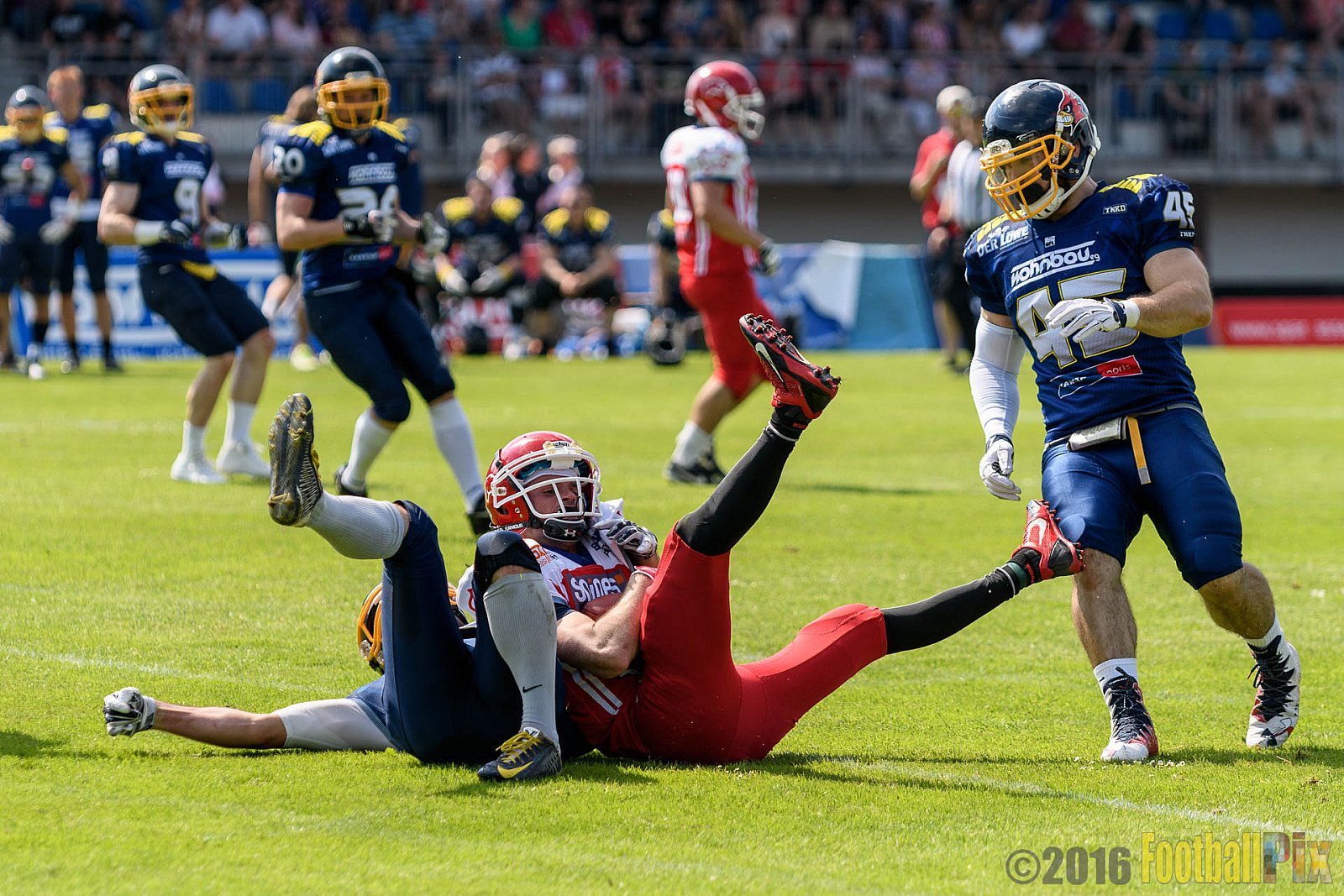 Essen Assindia Cardinals vs. Lübeck Cougars - 05.06.2016 GFL2: Essen Assindia Cardinals vs. Lübeck Cougars (16:35)