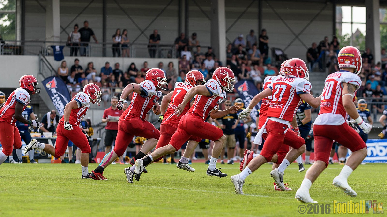 Essen Assindia Cardinals vs. Lübeck Cougars - 05.06.2016 GFL2: Essen Assindia Cardinals vs. Lübeck Cougars (16:35)