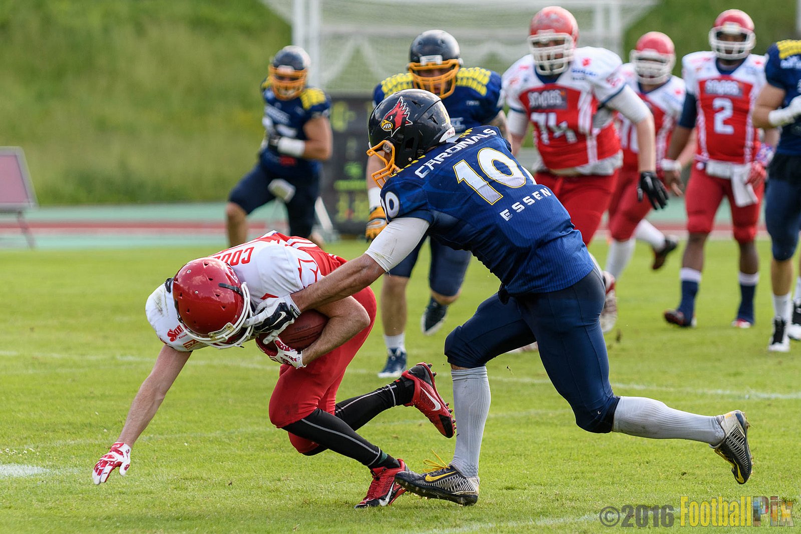 Essen Assindia Cardinals vs. Lübeck Cougars - 05.06.2016 GFL2: Essen Assindia Cardinals vs. Lübeck Cougars (16:35)