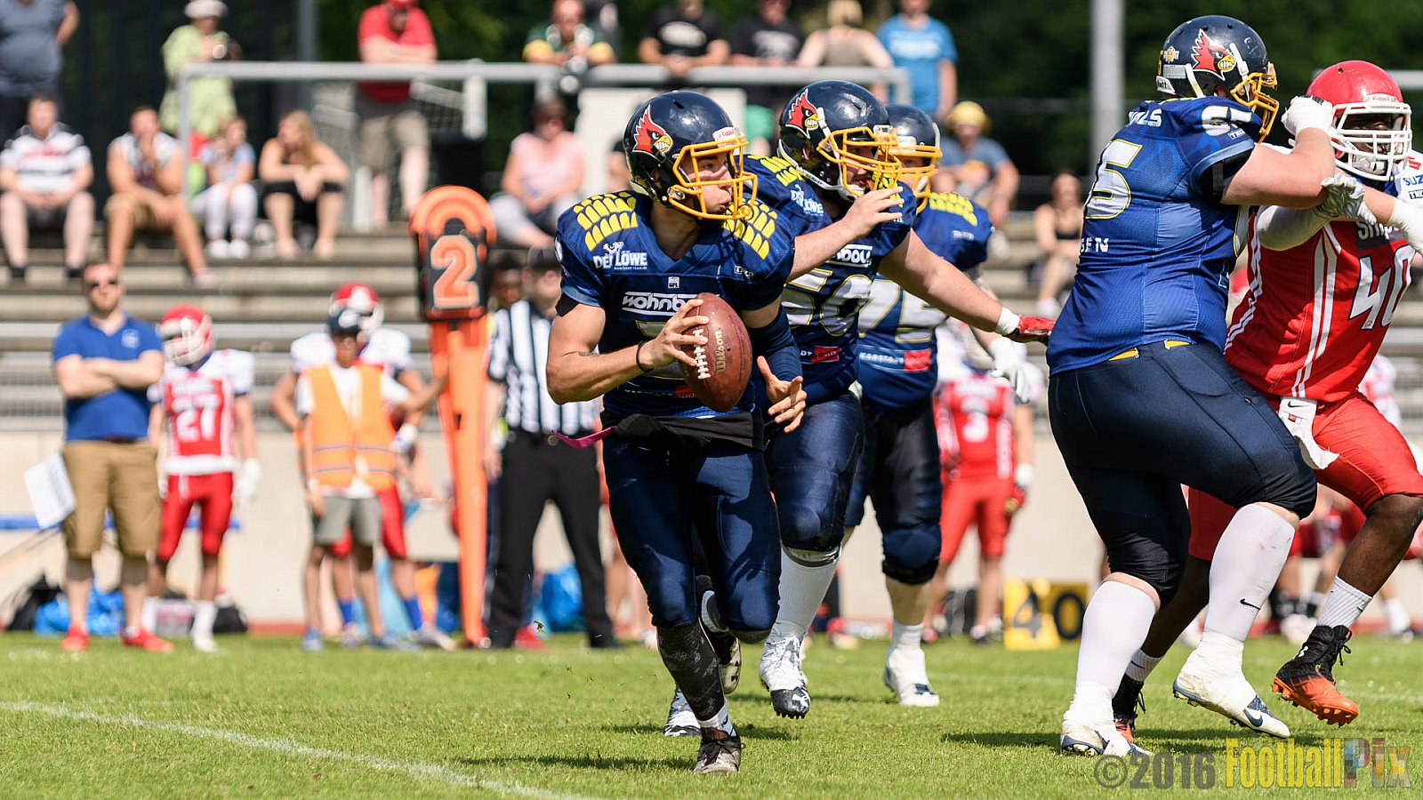 Essen Assindia Cardinals vs. Lübeck Cougars - 05.06.2016 GFL2: Essen Assindia Cardinals vs. Lübeck Cougars (16:35)