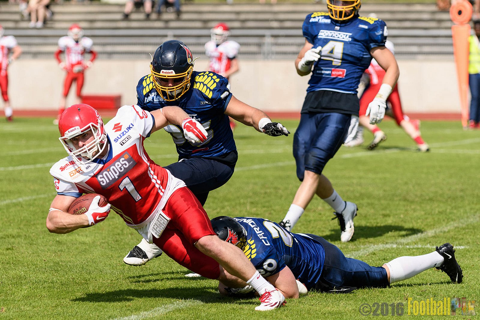 Essen Assindia Cardinals vs. Lübeck Cougars - 05.06.2016 GFL2: Essen Assindia Cardinals vs. Lübeck Cougars (16:35)