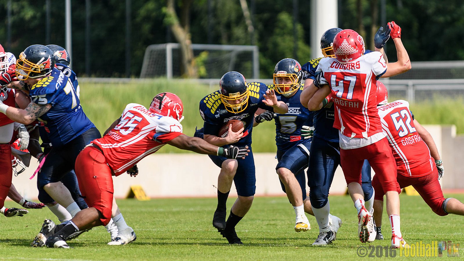 Essen Assindia Cardinals vs. Lübeck Cougars - 05.06.2016 GFL2: Essen Assindia Cardinals vs. Lübeck Cougars (16:35)