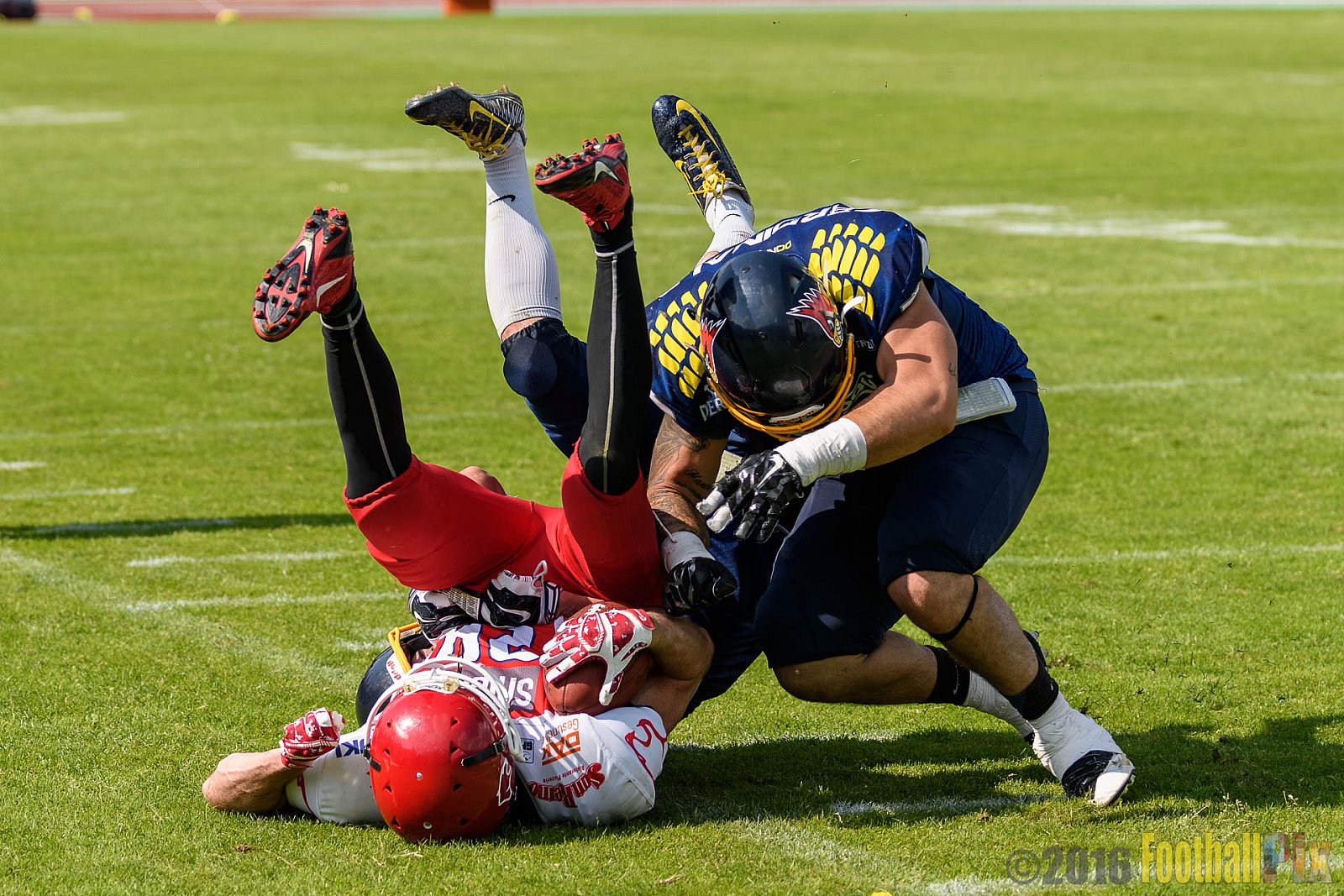 Essen Assindia Cardinals vs. Lübeck Cougars - 05.06.2016 GFL2: Essen Assindia Cardinals vs. Lübeck Cougars (16:35)
