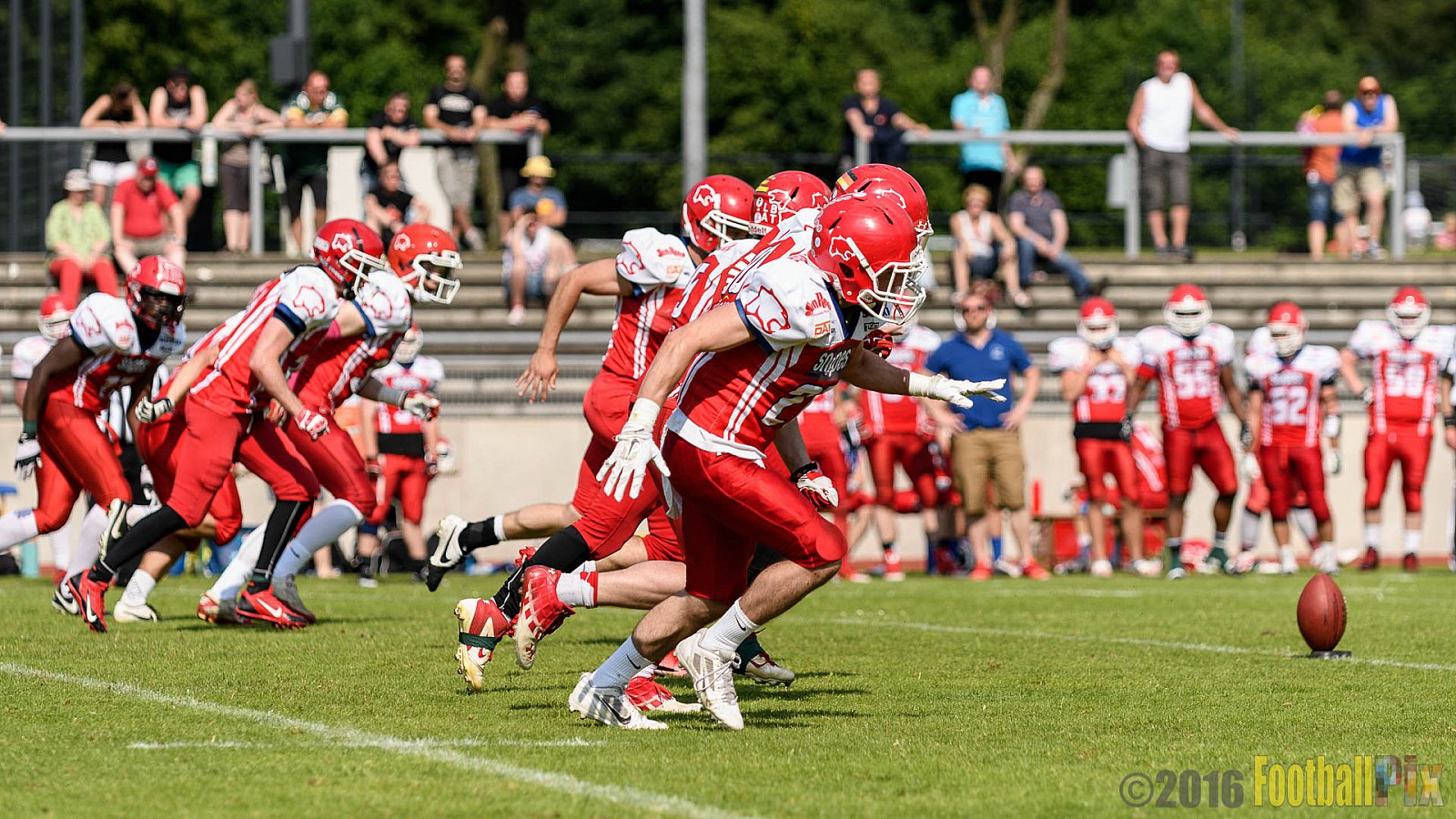 Essen Assindia Cardinals vs. Lübeck Cougars - 05.06.2016 GFL2: Essen Assindia Cardinals vs. Lübeck Cougars (16:35)