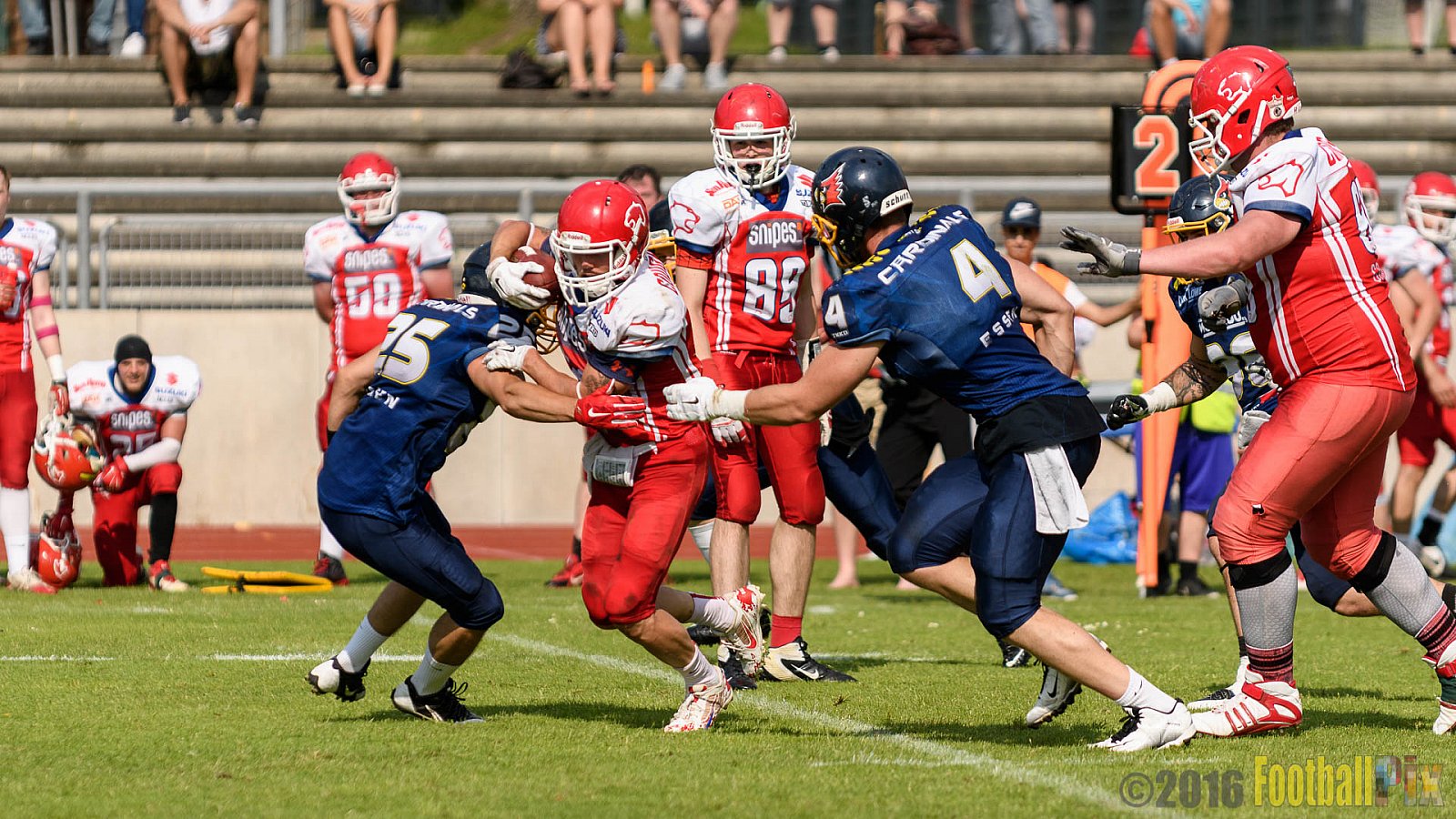 Essen Assindia Cardinals vs. Lübeck Cougars - 05.06.2016 GFL2: Essen Assindia Cardinals vs. Lübeck Cougars (16:35)