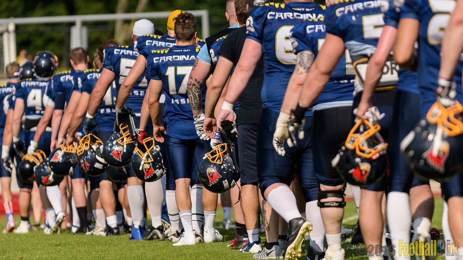 Essen Assindia Cardinals vs. Lübeck Cougars - 05.06.2016 GFL2: Essen Assindia Cardinals vs. Lübeck Cougars (16:35)