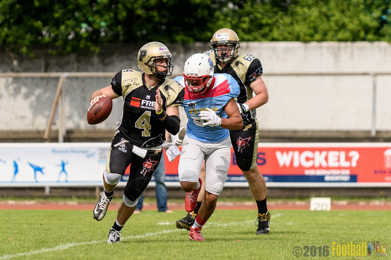  Bonn Gamecocks vs. Paderborn Dolphins - 11.06.2016 GFL2: Bonn Gamecocks vs. Paderborn Dolphins (37:40)
