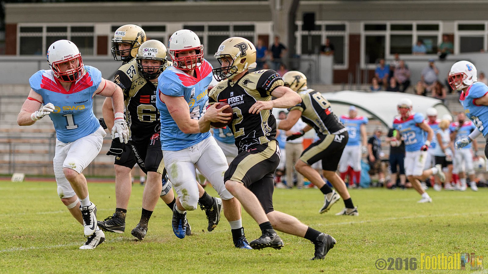  Bonn Gamecocks vs. Paderborn Dolphins - 11.06.2016 GFL2: Bonn Gamecocks vs. Paderborn Dolphins (37:40)