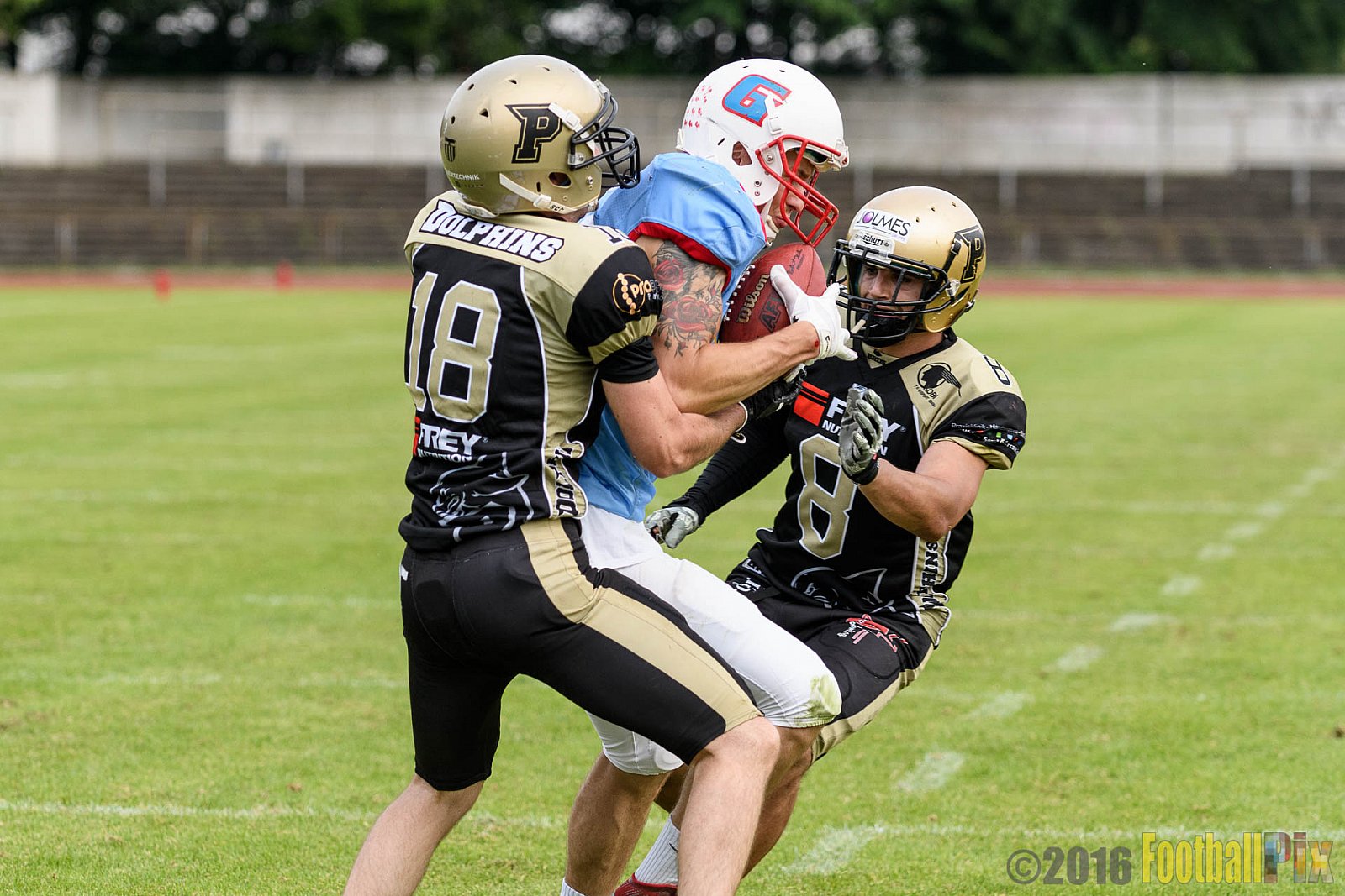  Bonn Gamecocks vs. Paderborn Dolphins - 11.06.2016 GFL2: Bonn Gamecocks vs. Paderborn Dolphins (37:40)