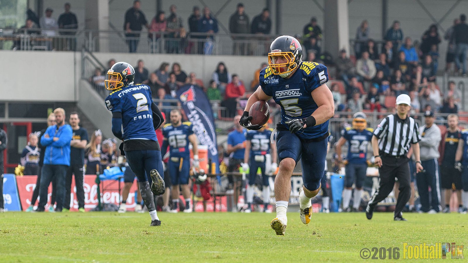 Essen Assindia Cardinals vs. Potsdam Royals - 12.06.2016 GFL2: Essen Assindia Cardinals vs. Potsdam Royals (9:34)