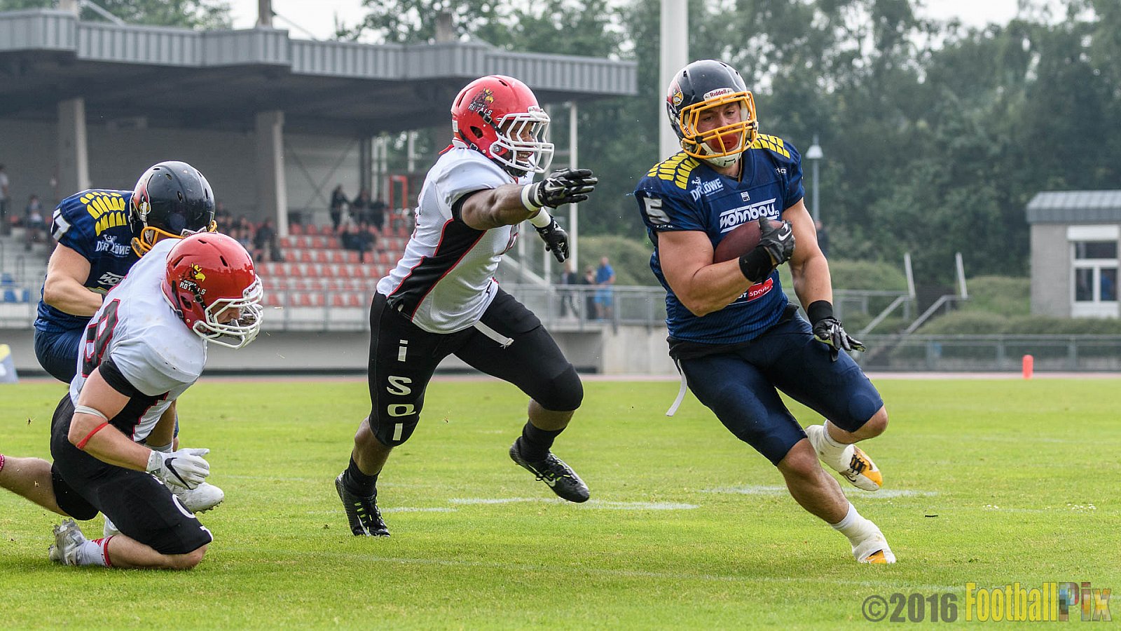 Essen Assindia Cardinals vs. Potsdam Royals - 12.06.2016 GFL2: Essen Assindia Cardinals vs. Potsdam Royals (9:34)