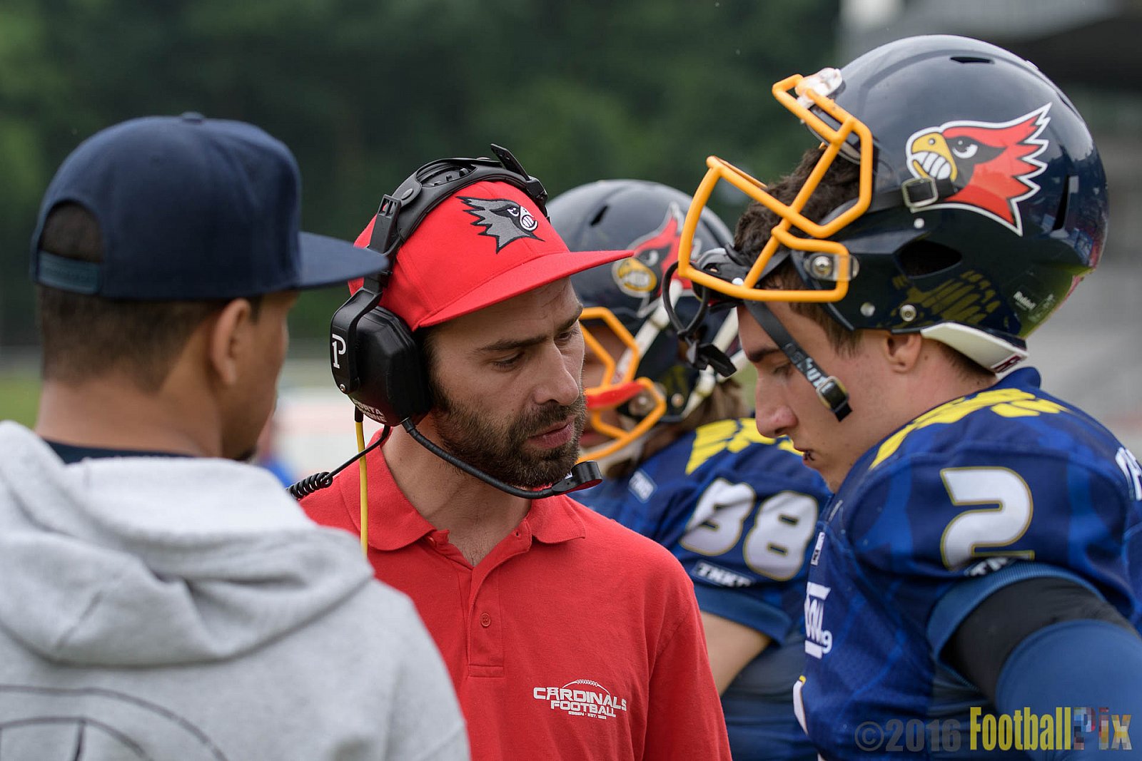 Essen Assindia Cardinals vs. Potsdam Royals - 12.06.2016 GFL2: Essen Assindia Cardinals vs. Potsdam Royals (9:34)