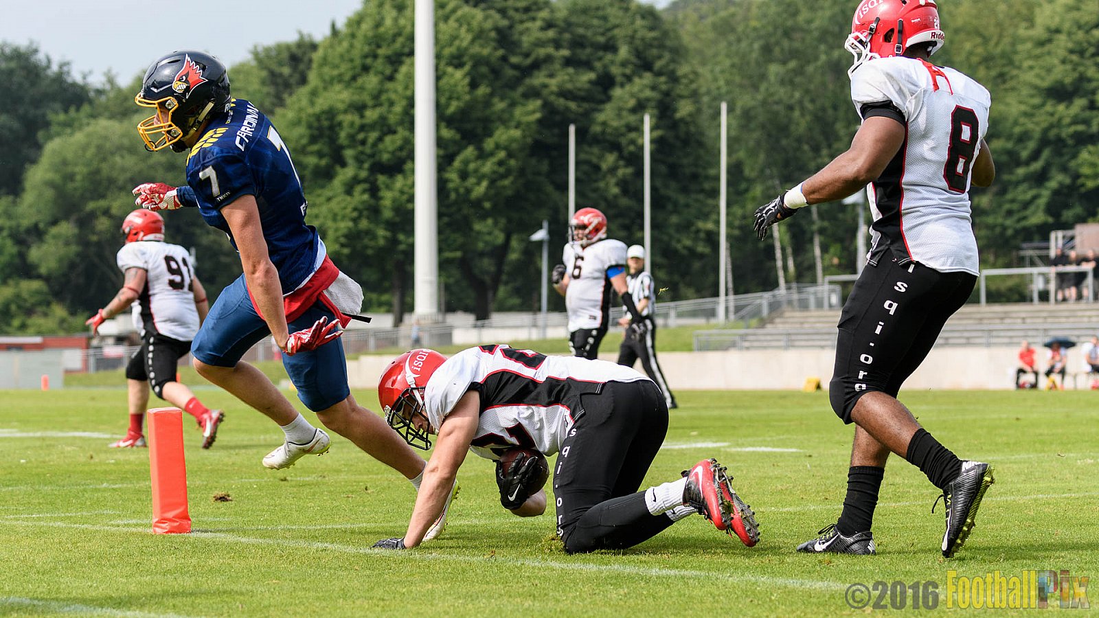 Essen Assindia Cardinals vs. Potsdam Royals - 12.06.2016 GFL2: Essen Assindia Cardinals vs. Potsdam Royals (9:34)