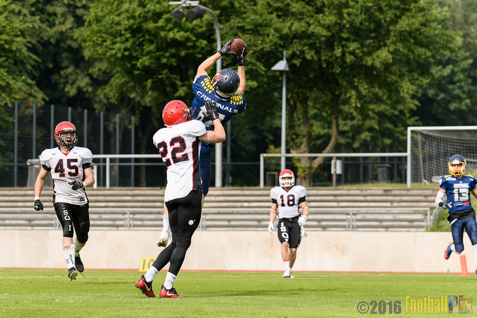 Essen Assindia Cardinals vs. Potsdam Royals - 12.06.2016 GFL2: Essen Assindia Cardinals vs. Potsdam Royals (9:34)
