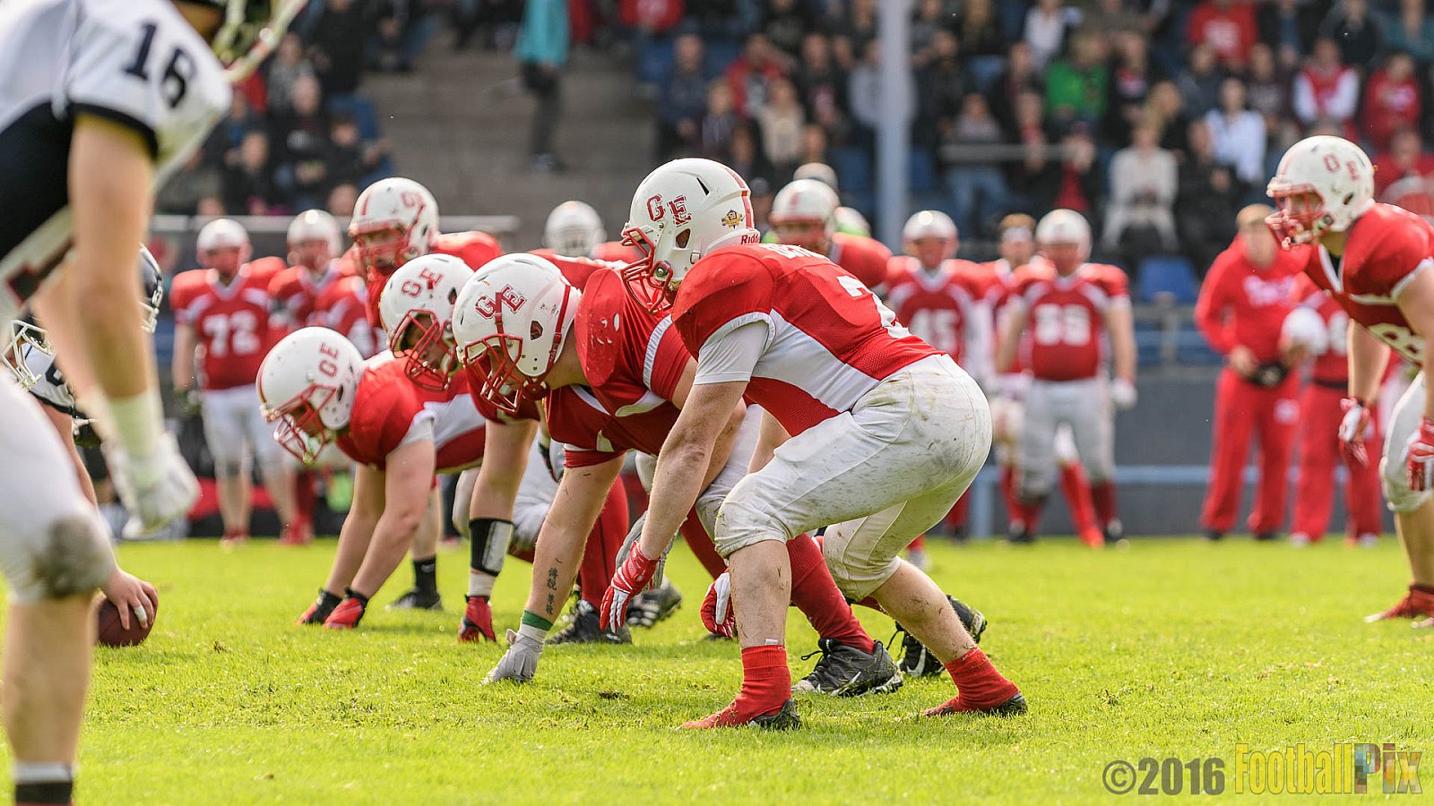 Gelsenkirchen Devils vs. Dortmund Giants - 18.06.2016 OL NRW: Gelsenkirchen Devils vs. Dortmund Giants (7:10)