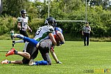Bocholt Rhinos vs. Rheine Raptors - 02.07.2016 VL NRW: Bocholt Rhinos vs. Rheine Raptors (20:44)