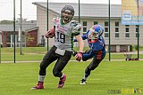 Bocholt Rhinos vs. Rheine Raptors - 02.07.2016 VL NRW: Bocholt Rhinos vs. Rheine Raptors (20:44)