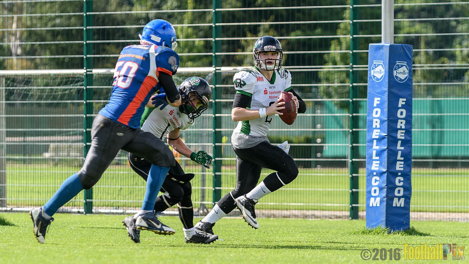 Bocholt Rhinos vs. Rheine Raptors - 02.07.2016 VL NRW: Bocholt Rhinos vs. Rheine Raptors (20:44)