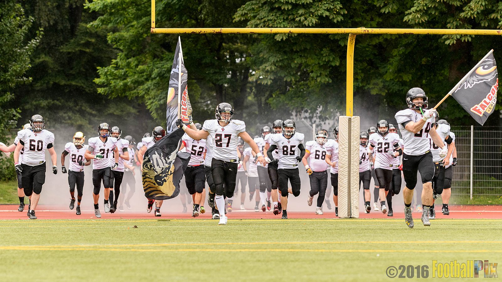 Cologne Falcons vs. Aachen Vampires - 03.07.2016 RL NRW: Cologne Falcons vs. Aachen Vampires (0:3)