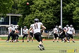 Cologne Falcons vs. Aachen Vampires - 03.07.2016 RL NRW: Cologne Falcons vs. Aachen Vampires (0:3)