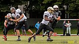Cologne Falcons vs. Aachen Vampires - 03.07.2016 RL NRW: Cologne Falcons vs. Aachen Vampires (0:3)