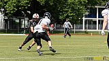 Cologne Falcons vs. Aachen Vampires - 03.07.2016 RL NRW: Cologne Falcons vs. Aachen Vampires (0:3)