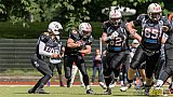 Cologne Falcons vs. Aachen Vampires - 03.07.2016 RL NRW: Cologne Falcons vs. Aachen Vampires (0:3)