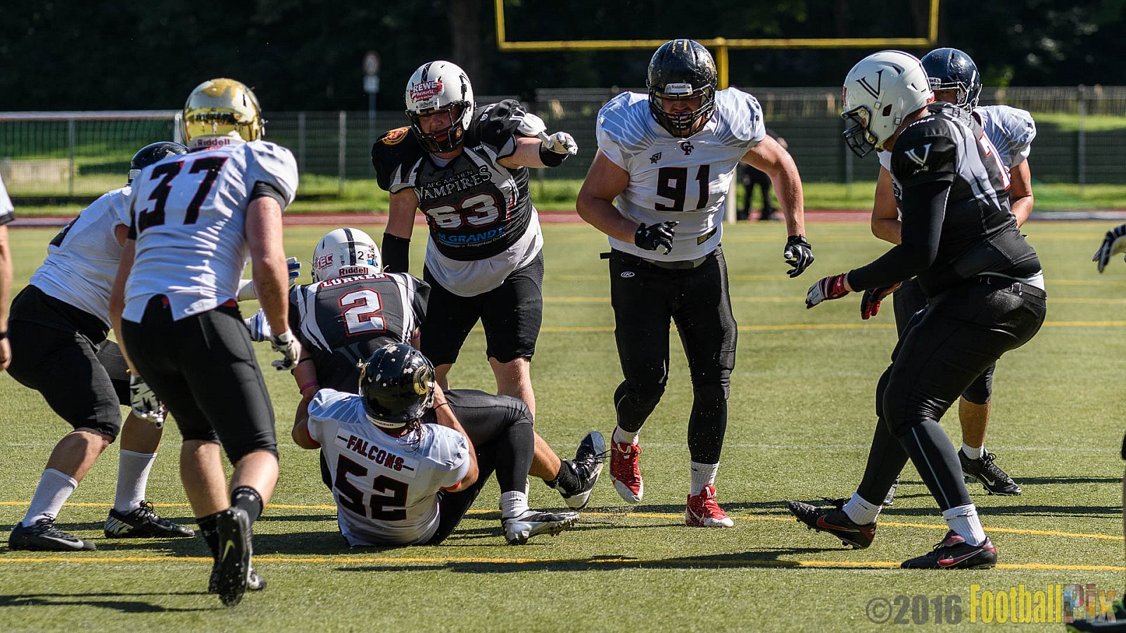 Cologne Falcons vs. Aachen Vampires - 03.07.2016 RL NRW: Cologne Falcons vs. Aachen Vampires (0:3)