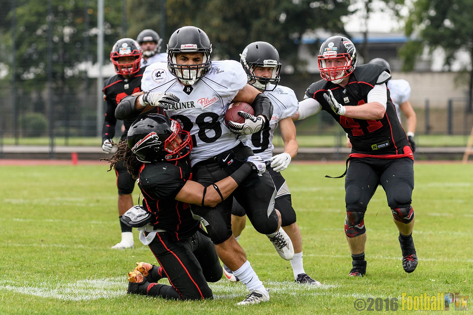 Düsseldorf Panther vs. Berlin Rebels - 16.07.2016 GFL Nord: Düsseldorf Panther vs. Berlin Rebels (14:36)