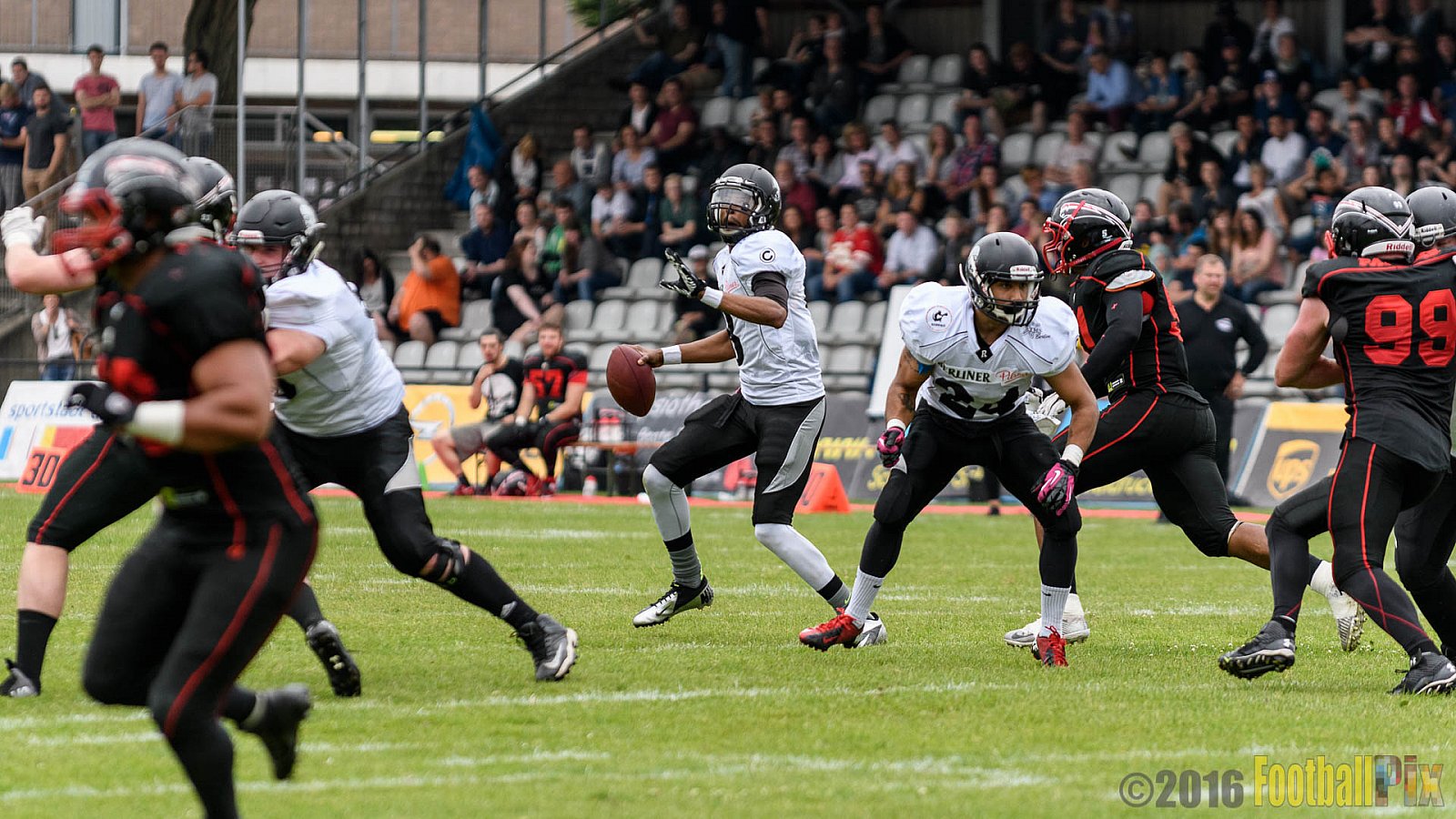 Düsseldorf Panther vs. Berlin Rebels - 16.07.2016 GFL Nord: Düsseldorf Panther vs. Berlin Rebels (14:36)