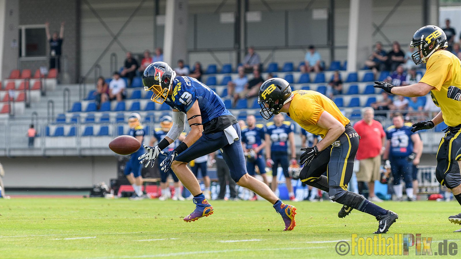 Essen Assindia Cardinals vs. Ritterhude Badgers - 23.07.2016 GFL2: Essen Assindia Cardinals vs. Ritterhude Badgers (41:35)