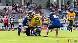 Essen Assindia Cardinals vs. Ritterhude Badgers - 23.07.2016 GFL2: Essen Assindia Cardinals vs. Ritterhude Badgers (41:35)