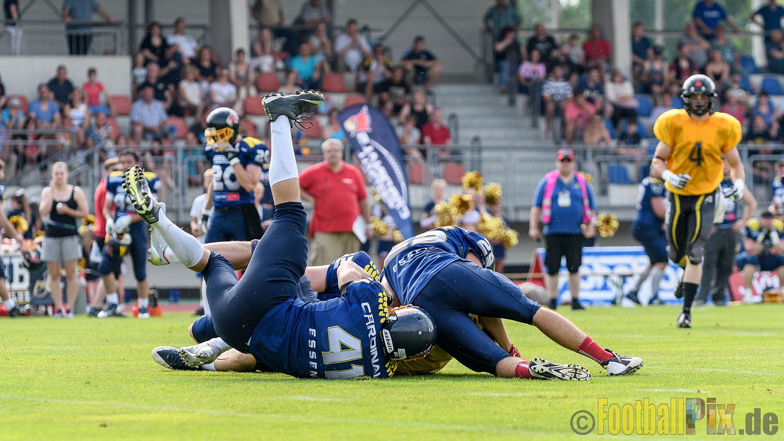 Essen Assindia Cardinals vs. Ritterhude Badgers - 23.07.2016 GFL2: Essen Assindia Cardinals vs. Ritterhude Badgers (41:35)