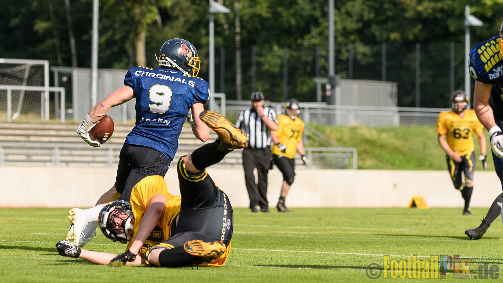 Essen Assindia Cardinals vs. Ritterhude Badgers - 23.07.2016 GFL2: Essen Assindia Cardinals vs. Ritterhude Badgers (41:35)