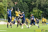 Essen Assindia Cardinals vs. Ritterhude Badgers - 23.07.2016 GFL2: Essen Assindia Cardinals vs. Ritterhude Badgers (41:35)