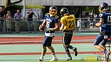 Essen Assindia Cardinals vs. Ritterhude Badgers - 23.07.2016 GFL2: Essen Assindia Cardinals vs. Ritterhude Badgers (41:35)