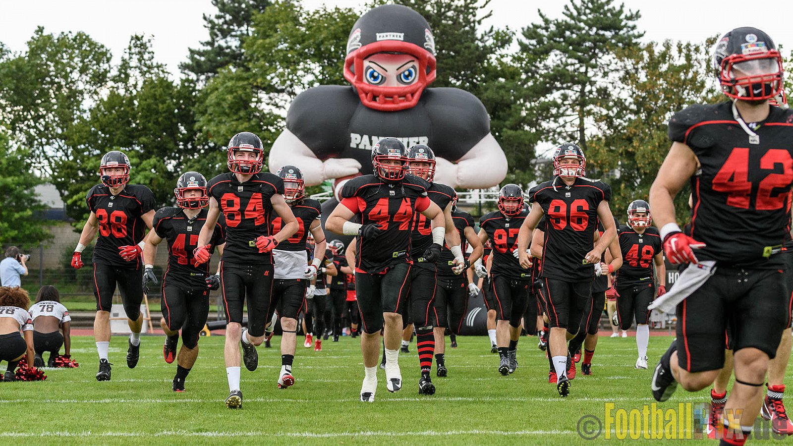Düsseldorf Panther vs. Berlin Adler - 30.07.2016 GFL Nord: Düsseldorf Panther vs. Berlin Adler (39:41)