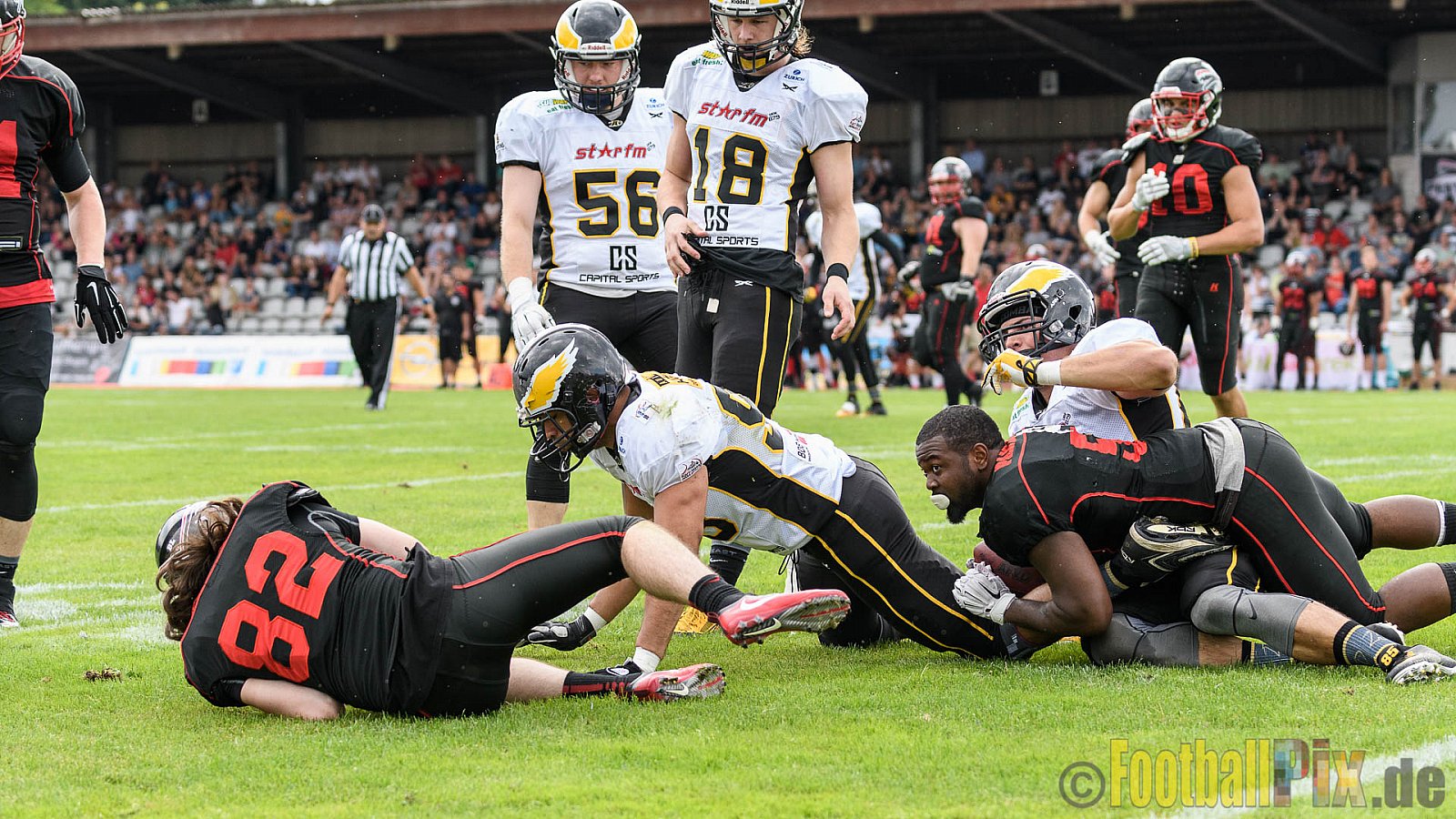 Düsseldorf Panther vs. Berlin Adler - 30.07.2016 GFL Nord: Düsseldorf Panther vs. Berlin Adler (39:41)