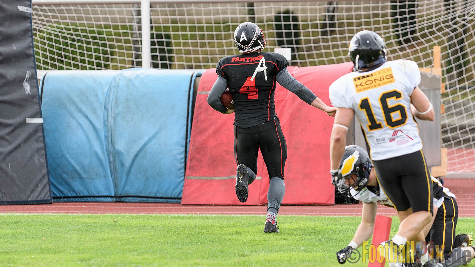 Düsseldorf Panther vs. Berlin Adler - 30.07.2016 GFL Nord: Düsseldorf Panther vs. Berlin Adler (39:41)