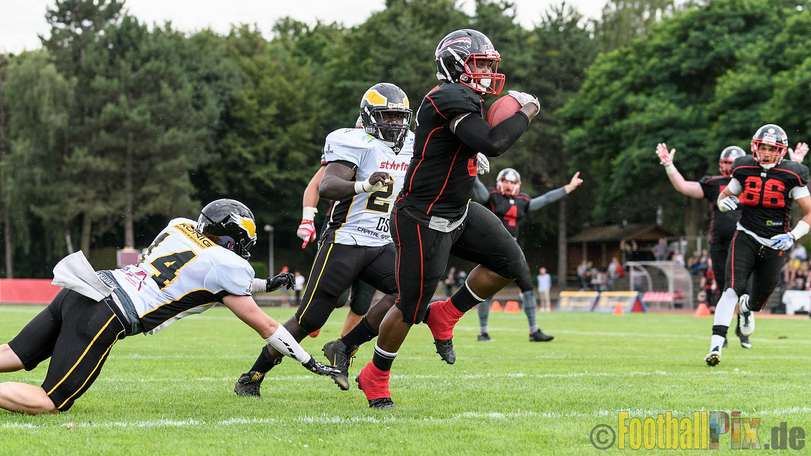 Düsseldorf Panther vs. Berlin Adler - 30.07.2016 GFL Nord: Düsseldorf Panther vs. Berlin Adler (39:41)