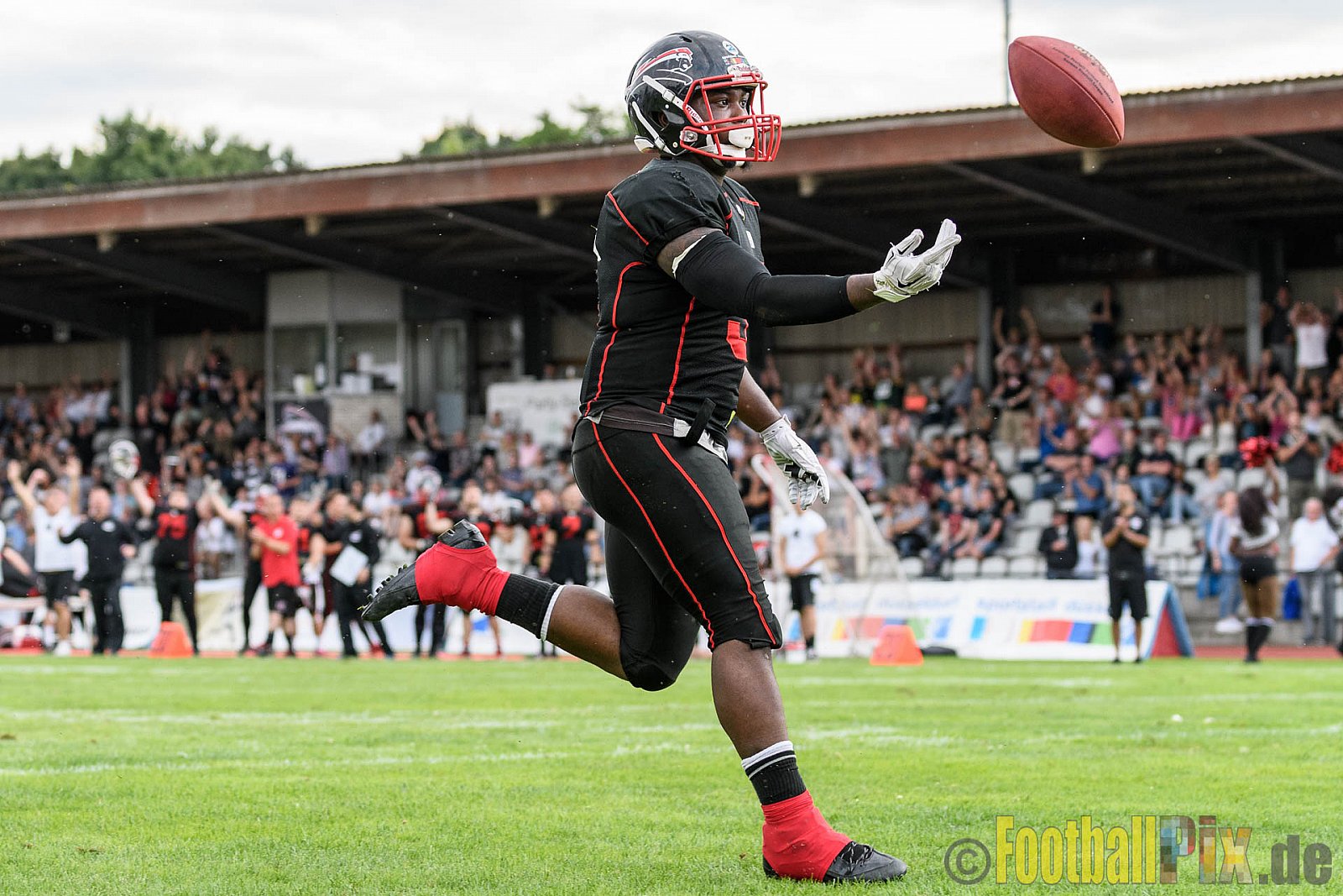 Düsseldorf Panther vs. Berlin Adler - 30.07.2016 GFL Nord: Düsseldorf Panther vs. Berlin Adler (39:41)