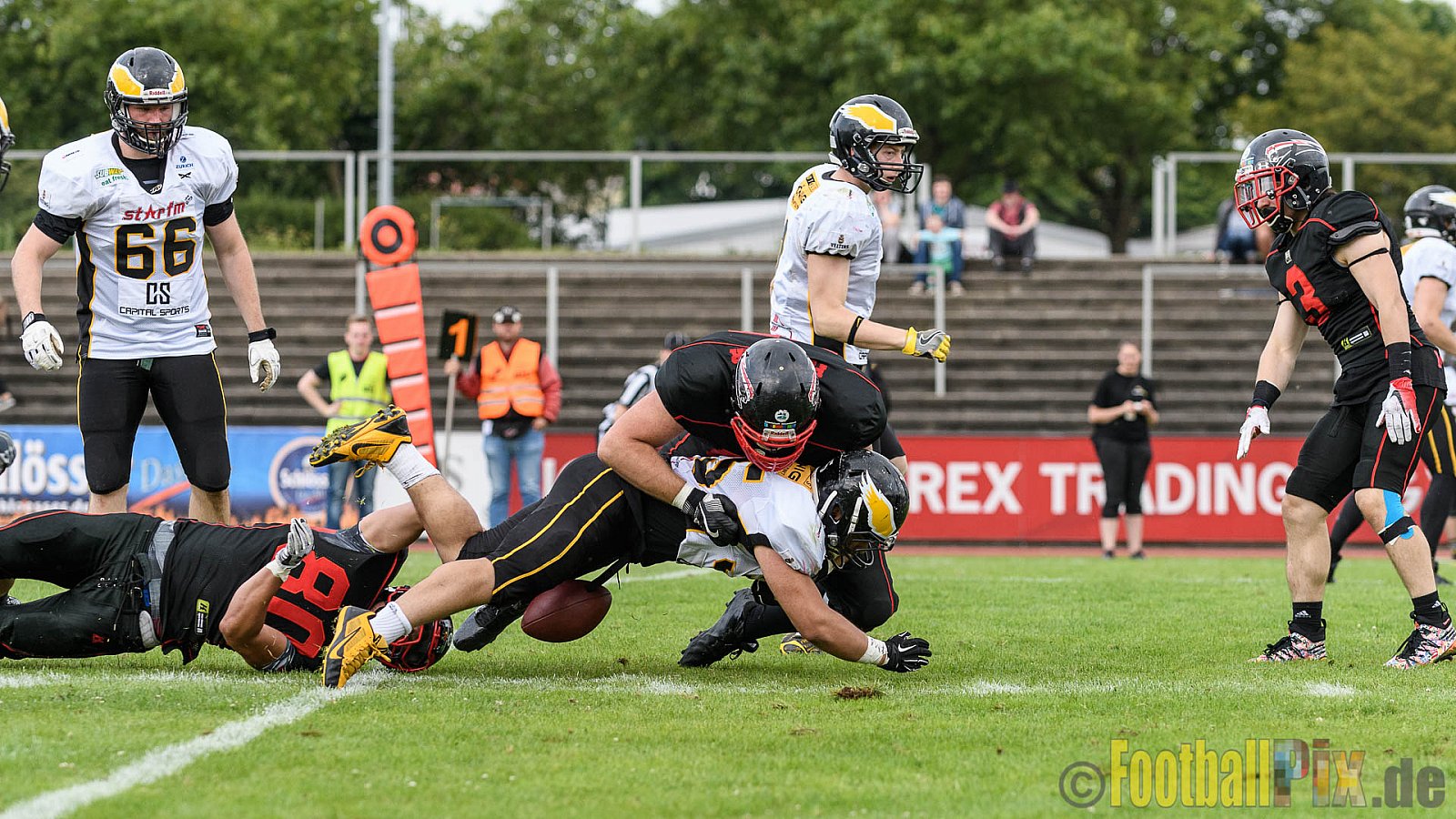 Düsseldorf Panther vs. Berlin Adler - 30.07.2016 GFL Nord: Düsseldorf Panther vs. Berlin Adler (39:41)
