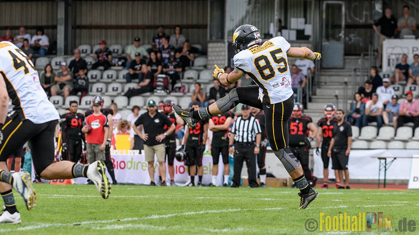 Düsseldorf Panther vs. Berlin Adler - 30.07.2016 GFL Nord: Düsseldorf Panther vs. Berlin Adler (39:41)