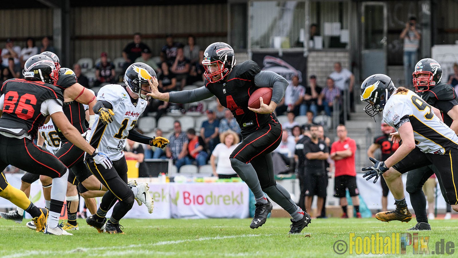 Düsseldorf Panther vs. Berlin Adler - 30.07.2016 GFL Nord: Düsseldorf Panther vs. Berlin Adler (39:41)