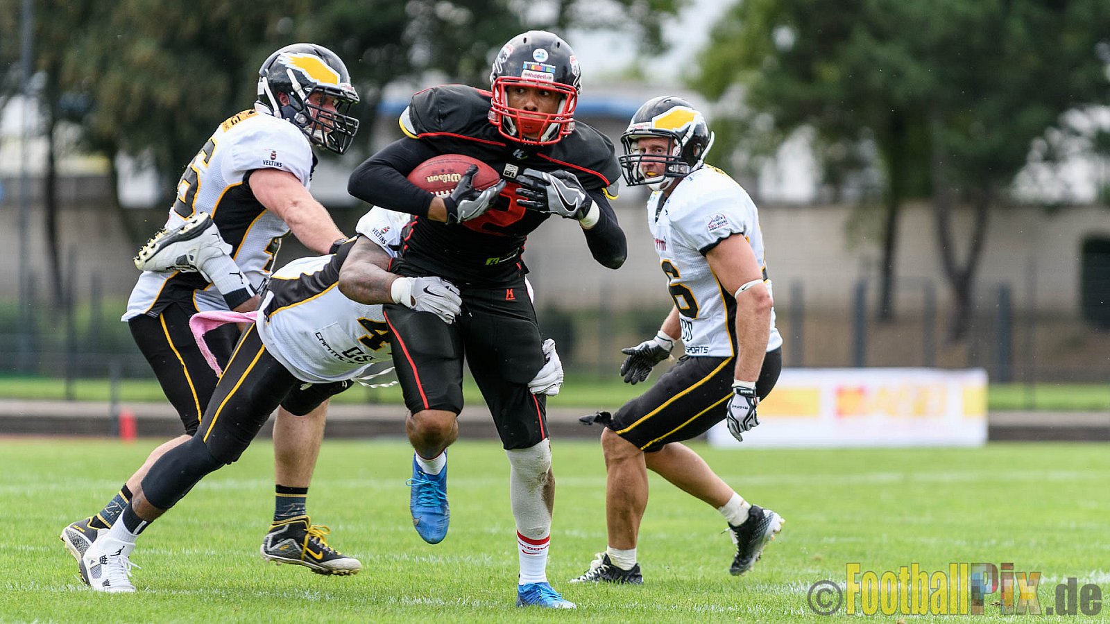 Düsseldorf Panther vs. Berlin Adler - 30.07.2016 GFL Nord: Düsseldorf Panther vs. Berlin Adler (39:41)