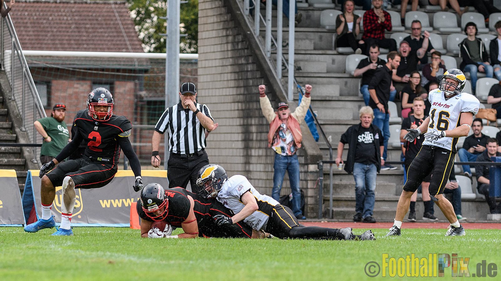Düsseldorf Panther vs. Berlin Adler - 30.07.2016 GFL Nord: Düsseldorf Panther vs. Berlin Adler (39:41)
