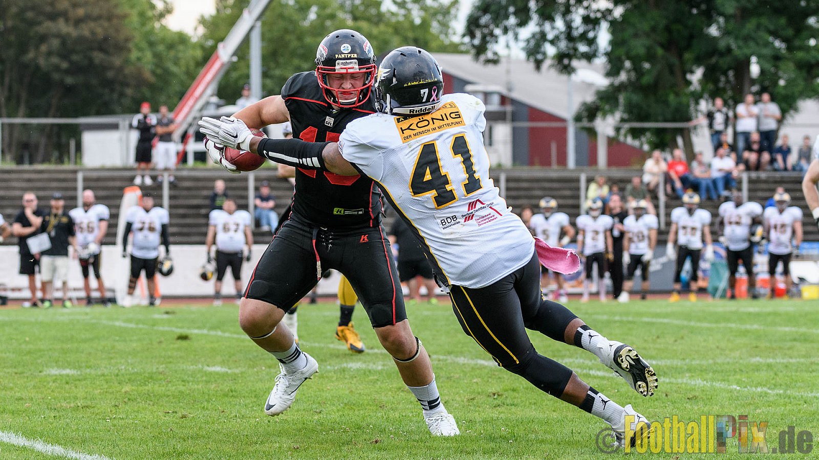 Düsseldorf Panther vs. Berlin Adler - 30.07.2016 GFL Nord: Düsseldorf Panther vs. Berlin Adler (39:41)
