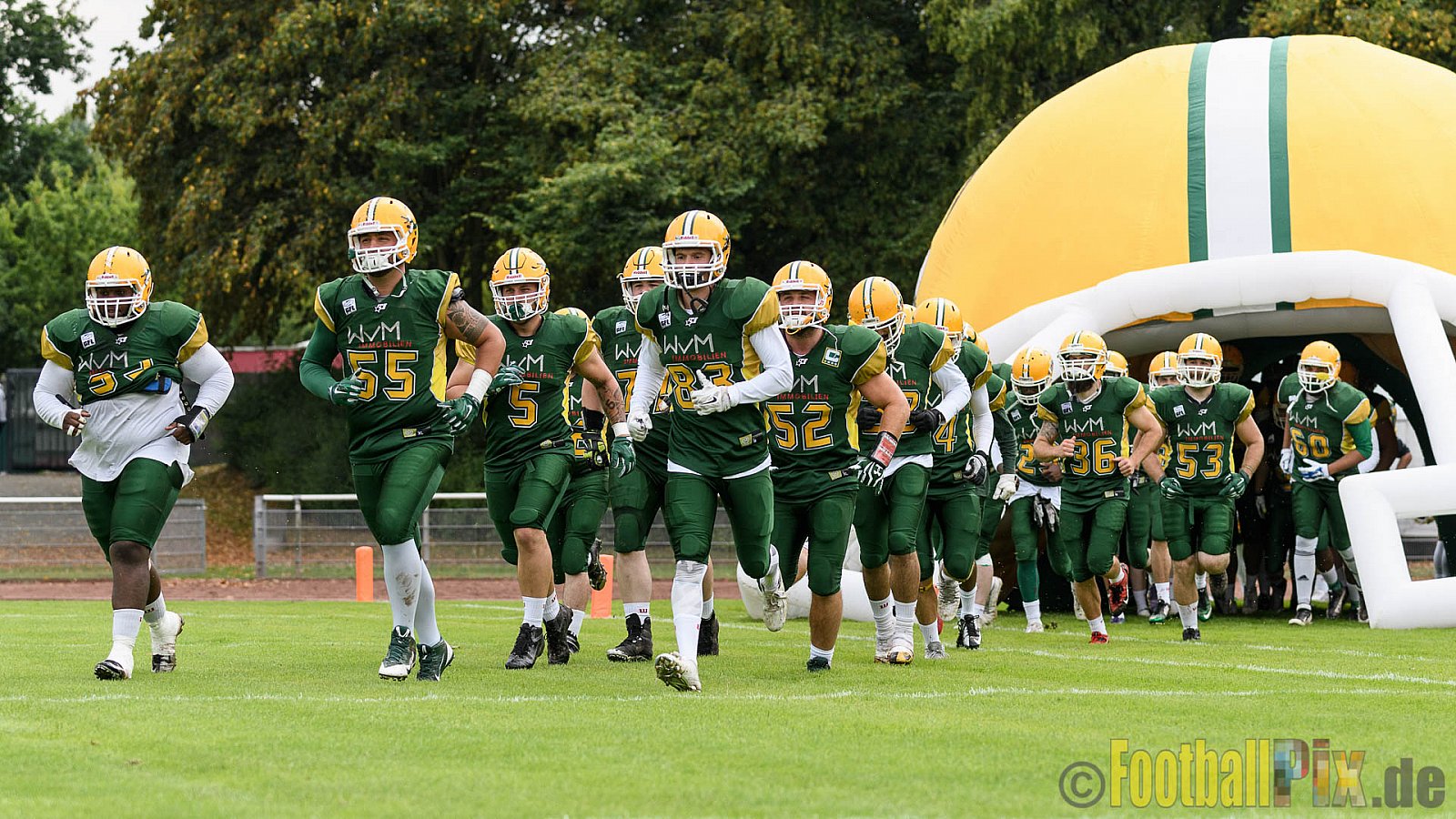 Cologne Crocodiles vs. Essen Assindia Cardinals - 31.07.2016 GFL2: Cologne Crocodiles vs. Essen Assindia Cardinals (43:7)