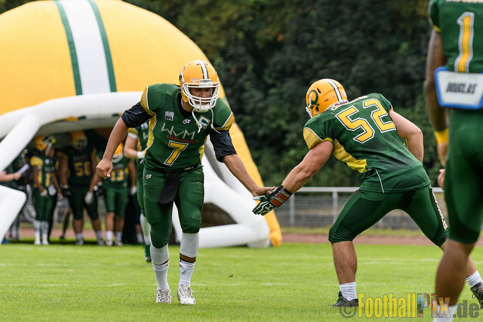 Cologne Crocodiles vs. Essen Assindia Cardinals - 31.07.2016 GFL2: Cologne Crocodiles vs. Essen Assindia Cardinals (43:7)